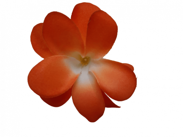 Frangipani Blütenstrauß orange - limitierte Edition - Sonderpreis